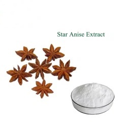 Poudre d'extrait d'anis étoilé soluble dans l'eau de qualité alimentaire 98% <span class=keywords><strong>acide</strong></span> <span class=keywords><strong>shikimique</strong></span> - Product Image 4