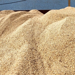 High Protein Non-GMO <b>Soybeans</b> Bulk | Premium Natural Soya Beans for Tempeh & Miso - Product Image 5