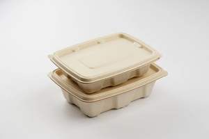 Récipient rectangle anti-fuite de bagasse de canne à sucre biodégradable durable de 500ml fournisseur d'emballages alimentaires compostables écologiques - Product Image 3