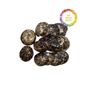 Conchas de Lapa de Vietnam al por mayor a granel para decoración de interiores, artesanía y uso de joyería - Product Image 4