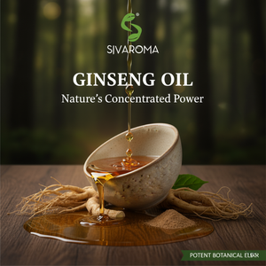 Aceite de Ginseng 100% Puro y Natural, Finamente Procesado, para Producción a Gran Escala de Cuidado Personal, OEM/ODM, Marca Privada, B2B - Product Image 5