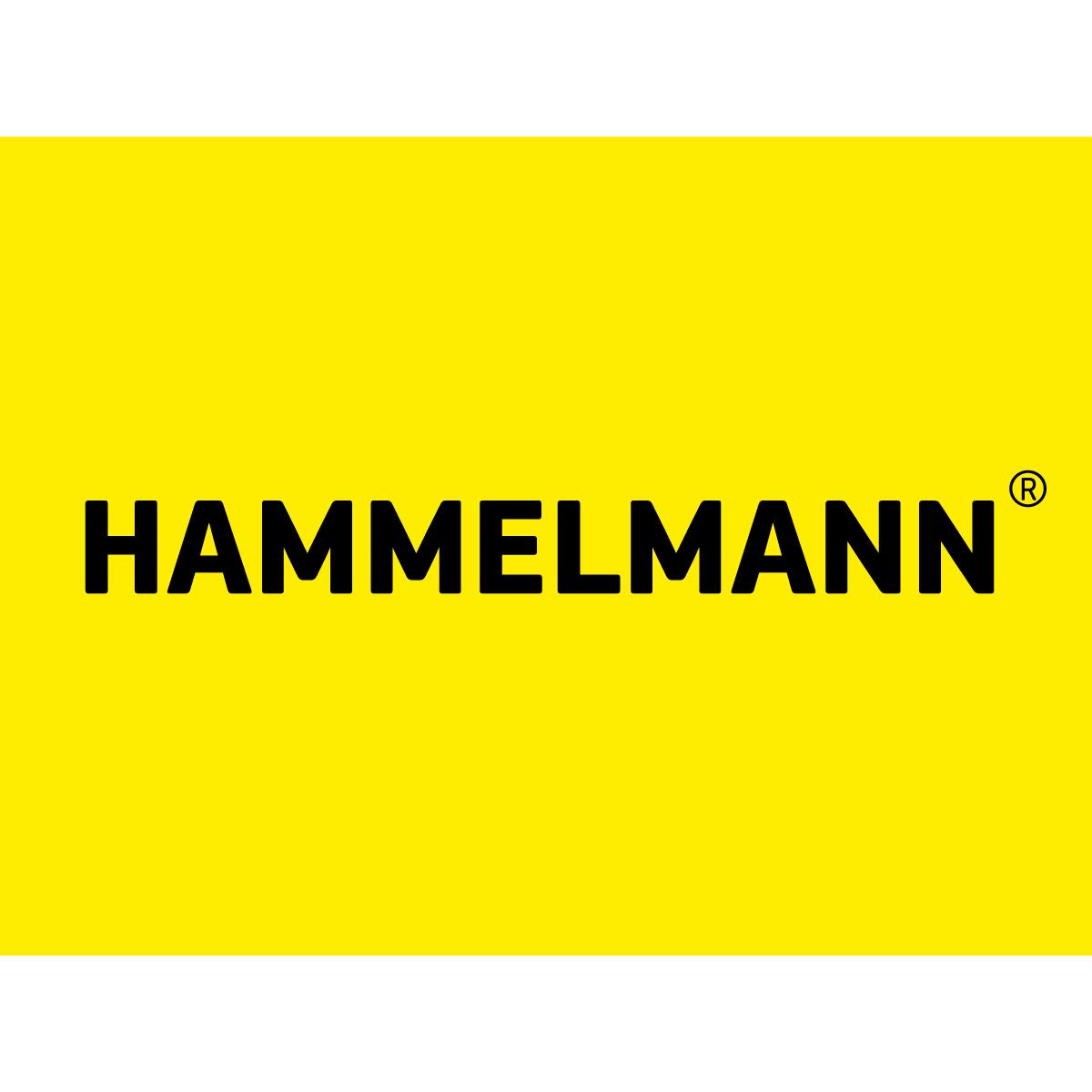 Hammelmann GmbH logo