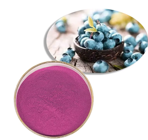 Commercio all'ingrosso biologico liofilizzato mirtillo selvatico in polvere succo di frutta in polvere | Fornitura all'ingrosso prezzo di fabbrica per alimenti e bevande - Product Image 1