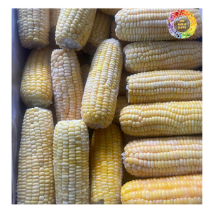 Maíz amarillo congelado hervido, maíz dulce natural congelado, maíz dulce congelado a la mitad, maíz blanco y amarillo congelado - Product Image 3