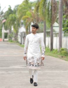 Elefante diseñador jacquard kurta - Product Image 4