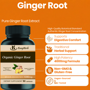 Suplemen Herbal Vegan Grosir OEM Kapsul Jahe 1000mg Kapsul Jahe - Product Image 4