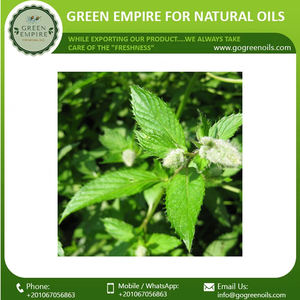 น้ำมันหอมระเหยสะระแหน่แท้100% จากผู้ผลิตอินเดียในอียิปต์ - Product Image 6