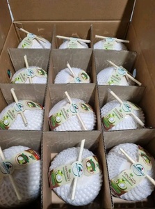 Agua de Coco Fresca en Forma de Diamante, Bebida Tropical de Coco para el Verano - Product Image 4