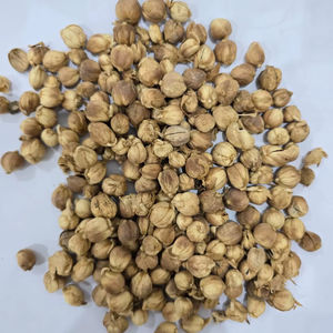 Producto Agrícola de Cardamomo de Indonesia, Cajas de 10-25 Kg, 2 Años de Vida Útil, Empaquetado en Bolsa de Polipropileno - Product Image 1
