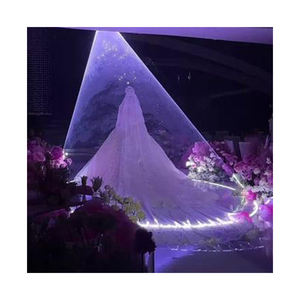 Luz láser de 5W controlada por aplicación para decoraciones de bodas e iluminación de escenario de fiesta de novia para el primer baile de nuevas parejas - Product Image 1