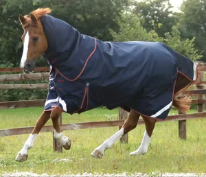Alfombras de caballo personalizadas profesionales para todas las estaciones, hechas con material de nailon duradero y cómodo acolchado de algodón - Product Image 4