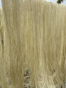 New Popular High Quality Customized Size Rattan Core <b>Bleached</b> Oval Rattan Core - Rattan Core Square Knit - Product Image 5