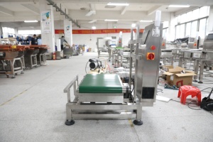 Comprobador de peso de alimentos en movimiento, transportador dinámico, pesaje único de alta precisión, 1g, línea Industrial de conexión - Product Image 4