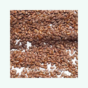 Semillas de Guanábana natural disponibles para exportación a granel y al por mayor - Product Image 4