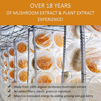 Extrait de Cordyceps Militaris Sinensis en poudre Qinshantang – Suppléments de polysaccharides – Poudre d'extrait de champignon Cordyceps