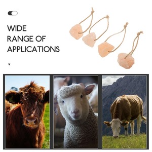 4 Pcs Bloc de Sel à Lécher pour Animaux Friandises pour Cheval Minérales Saines pour Chevaux Lapins Blocs de Cerf Jouets - Product Image 4