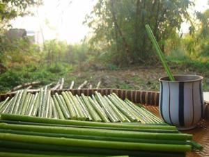 Pajitas de Hierba Natural, Alternativa Ecológica a las Pajitas de Plástico, Pajitas Biodegradables para Cafeterías, Bares y Restaurantes - Product Image 6