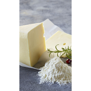 Poudre de fromage séchée par pulvérisation naturelle de qualité alimentaire Herbojit International (régulière) Super qualité Fabriquée en Inde au prix du marché - Product Image 4