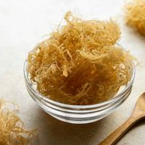 High Quality Best Price Dried Seamoss Wildcrafted Sea Moss with OEM Packaging from Vietnam - Product Image 4