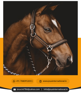 Utdoor-Ports, accesorio multifuncional, ligero e inteligente - Product Image 3