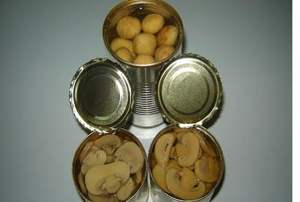 Viet Delta Farm เห็ดฟางกระป๋องในน้ําเกลือราคาที่แข่งขันได้สําหรับการขายส่ง - Product Image 4