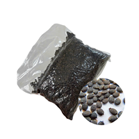 Fabrieksprijs Beste Deal Vietnam Fabrikant Levert Iso Standaard Gedroogde Passievrucht Zaden 1Kg