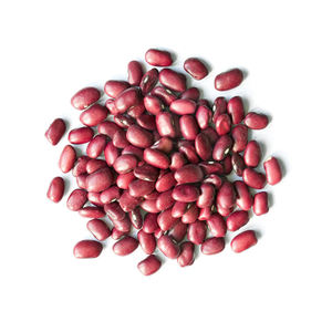 Haricot de niébé rouge bon marché Haricot de Vigna rouge de qualité d'exportation Petits haricots adzuki rouges - Product Image 4