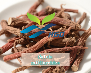 Suministro directo de fábrica HGO de extracto puro natural de Salvia miltiorrhiza (grado alimenticio) Especificación Danshensu 15% - Product Image 2