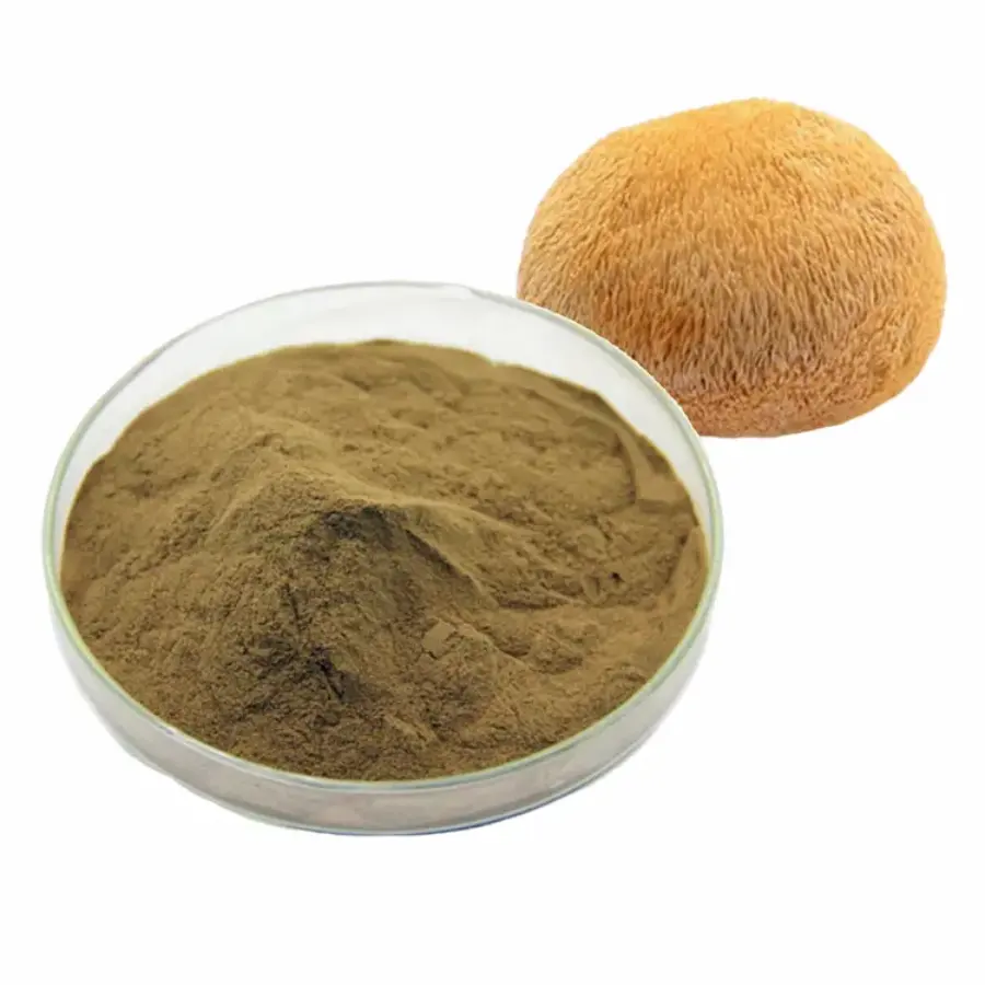 Extrato de cogumelo de junco de leões em pó orgânico 100% puro de marca própria de alta qualidade 50% polissacarídeos solúvel em água