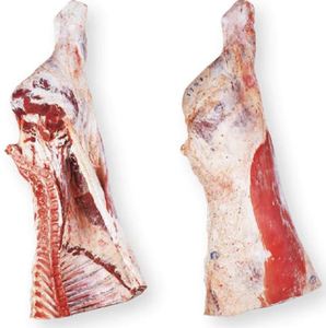 Viande de boeuf désossée, quartiers avant, fraîche et congelée, coupes de bœuf halal de qualité supérieure, approvisionnement en gros pour le marché de gros et le secteur de la restauration - Product Image 2