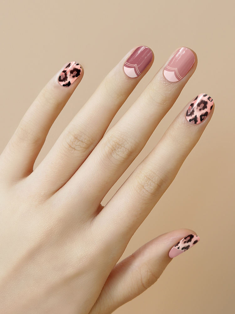 ตัวเลือกสี ae6169 f7d2cc 070300