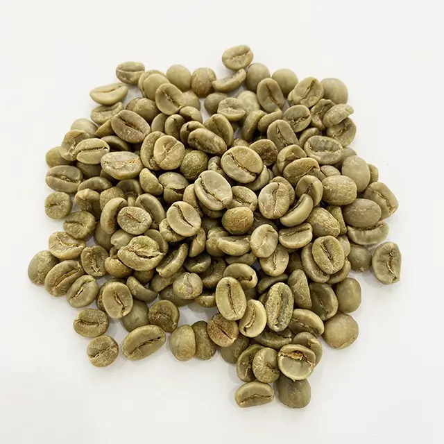 Chicchi di caffè verde di qualità Primum arabica e robusta chicchi di caffè Robusta tostati della migliore qualità grado 1 miglior chicco di caffè 100%