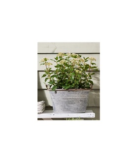 แท่นปลูกต้นไม้ชุบสังกะสีทรงกลมสไตล์วินเทจพร้อมขาสำหรับตกแต่งลานบ้านสมุนไพรตกแต่งสวนหรือจัดแสดงความสูงของต้นไม้ - Product Image 4