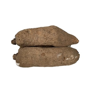 Tươi khoai mỡ cao cấp Hữu Cơ củ khỏe mạnh rau củ số lượng lớn bán buôn Xuất Khẩu phong phú trong chế độ ăn uống chất xơ và chất dinh dưỡng - Product Image 5