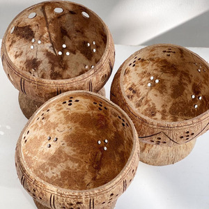 Macetas de cáscara de coco pequeñas al por mayor para la decoración del hogar macetas de flores y plantas naturales baratas - Product Image 6