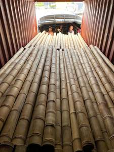 Wholesale Bamboo <b>Poles</b> <b>for</b> Construction & Building Materials - Natural Strong Straight Bamboo <b>Pole</b> <b>Gardening</b> Free Tax - Product Image 6