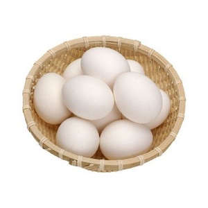 ไข่ไก่ขาวออร์แกนิคสดใหม่ ราคาขายส่งแข่งขันได้ จากฟาร์มบราซิล ไข่ไก่สดใหม่สำหรับบริโภค - Product Image 6