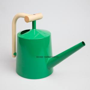 Arrosoir en métal galvanisé avec finition galvanisée, capacité de 8 L, durable et écologique, design moderne pour la maison et le jardin - Product Image 1