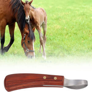 Cuchillo de pezuña de hoja larga con mango rojo profesional, gancho de rinoceronte, herrador diestro, herramienta de recorte veterinario, hoja de acero inoxidable - Product Image 6