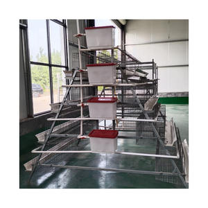 Gabbie per Galline Ovaiole con Capacità di <span class=keywords><strong>2000</strong></span> Polli, Acciaio Zincato a Caldo, Lunga Durata, Nuova Attrezzatura Manuale per l'Allevamento di Polli - Product Image 1