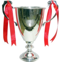 Trophée sportif moderne classique en métal argenté de haute qualité, gravé au laser, durable, avec logo personnalisé pour compétition, école, université