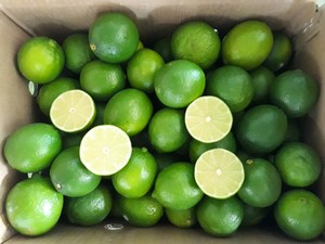 มะนาวเขียวสด ใบเต็ม ครึ่งใบ คุณภาพพรีเมียม ปลูกแบบธรรมชาติ ยี่ห้อ FRESH LEMON ขนาด 16-20 ซม. (ติดต่อคุณเอลลี่ +84 - Product Image 2