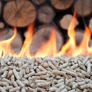 Pellets de madera de alta eficiencia energética Suministro a granel de calidad premium Venta directa al mejor precio Venta al por mayor directo - Product Image 4