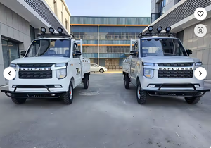 Nouveau véhicule électrique chinois à 4 roues / Mini-voiture électrique - Product Image 2