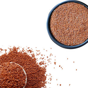 Cress | สำหรับการทำอาหาร & การใช้ยา | คุณภาพสีเขียวที่อุดมไปด้วย - Product Image 3