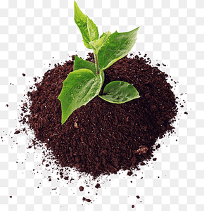 Fertilizante Orgánico 100% de Alta Calidad para la Agricultura, Vermicompost de Origen Vietnamita - Product Image 1