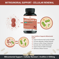 Capsules de Urolithin A en marque blanche OEM – Complément pour la santé cellulaire avancée – 1000 mg