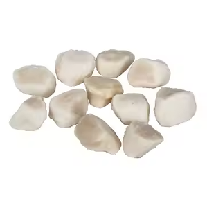 หอยเชลล์ทะเลแช่แข็งแสนอร่อย - Product Image 1