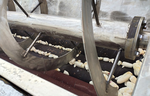 Machine à décortiquer <span class=keywords><strong>le</strong></span> manioc de petite capacité 500 kg/h, éplucheur de manioc - Product Image 2
