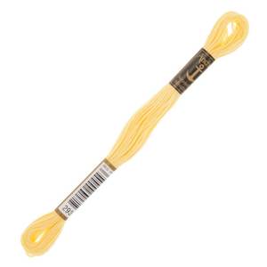 Anchor Muline Fil à broder à la main Jaune Haute résistance Rayonne Polyester Torsadé Libre 290 291 292 293 295 297 298 300 301-293 - Product Image 1